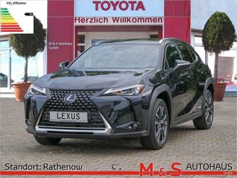 Fahrzeug LEXUS UX undefined