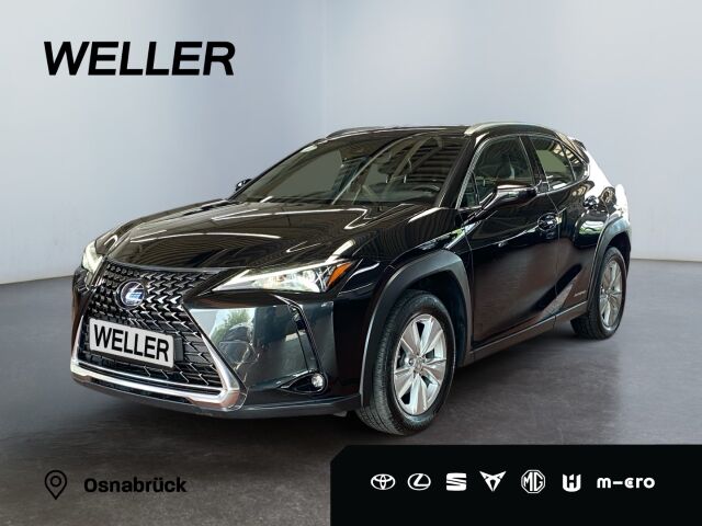 Lexus UX 250h Business Edition *ACC*Kamera*CarPlay*SHZ