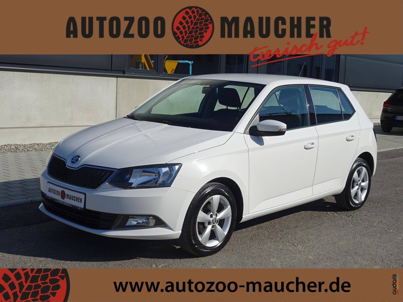 Skoda Fabia 1.2 TSI Ambition/ALU/PDC/Garantie