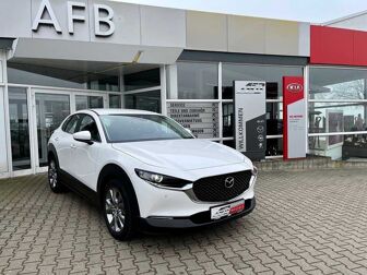 Fahrzeug MAZDA CX-30 undefined