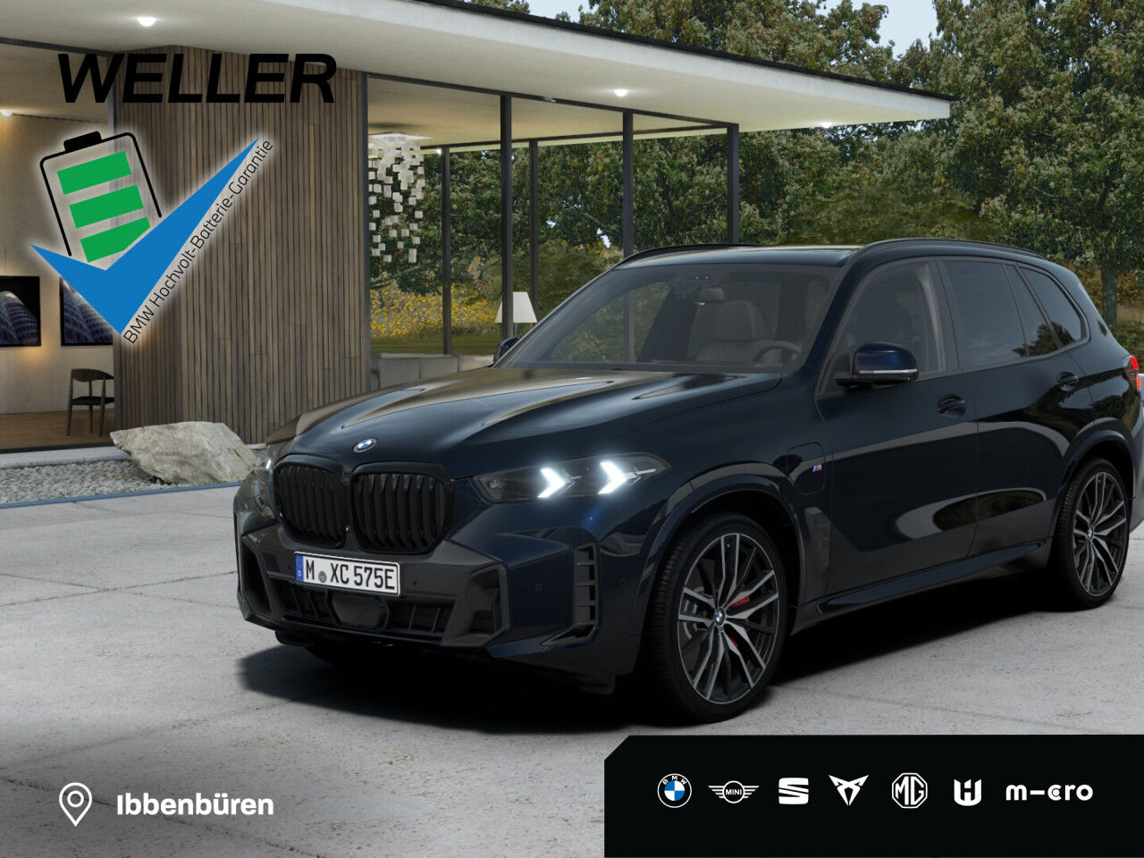 BMW X5 xDrive50e M Sport Pro AHK Luftfed. Pano 360°