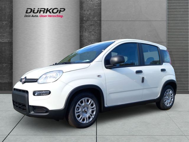 Fiat Panda Pandina Mild Hybrid 1.0 GSE City Paket DAB