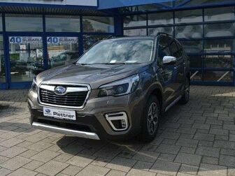 Fahrzeug SUBARU Forester undefined