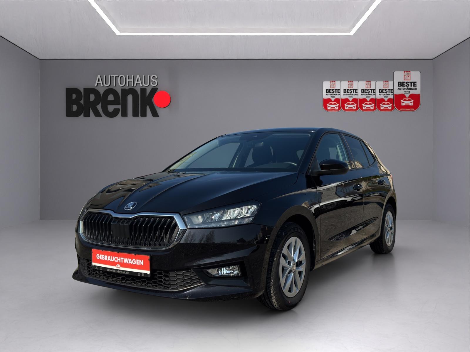 Skoda Fabia 1.0 TSI Ambition *LED/PDC/SHZ/App*