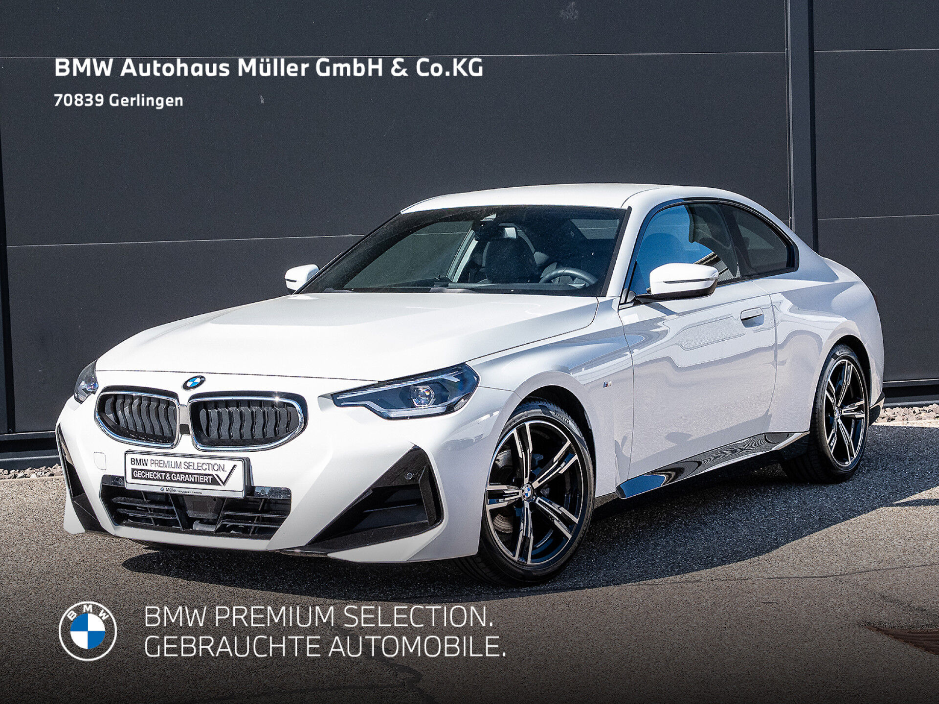 BMW 218iA Coupé M Sportpaket UPE 46640 EUR DAB SH LE