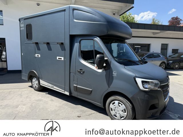 Renault Master 3,5t dCi 150 ENERGY L2H2 Raspaufbau Rasp/