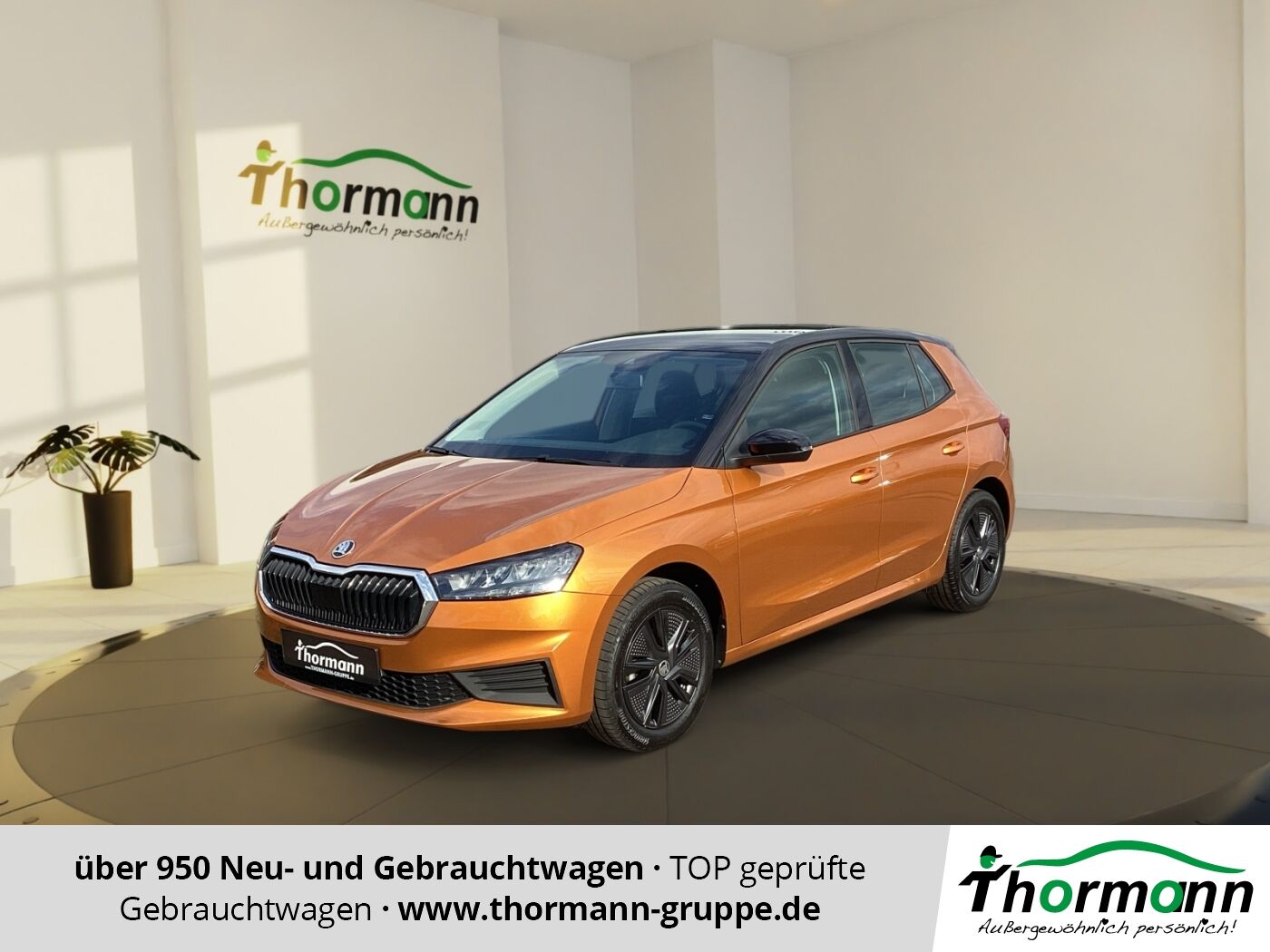 Skoda Fabia Ambition 1.0 MPI Einparkhilfe, Tempomat