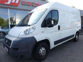 Fahrzeug FIAT Ducato undefined