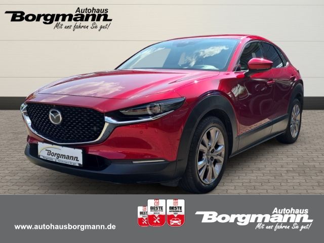 Mazda CX-30 Selection - Bose - Kamera 360Grad - Matrix