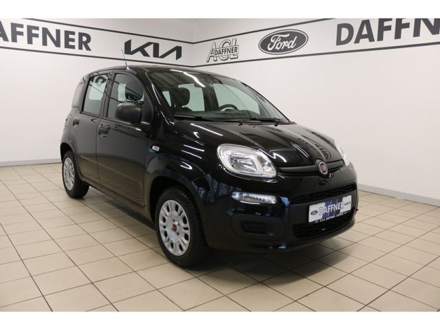 Fiat Panda Easy 1.2 8V Klima el. Fenster Servo