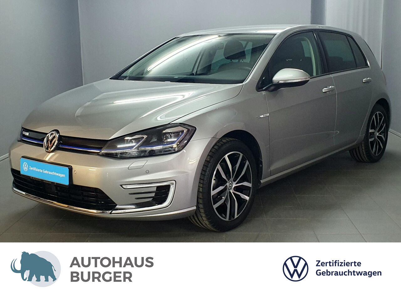 VW e-Golf VII Wärmepumpe/CCS/ACC/Navi/LED