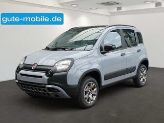 Fahrzeug FIAT Panda undefined