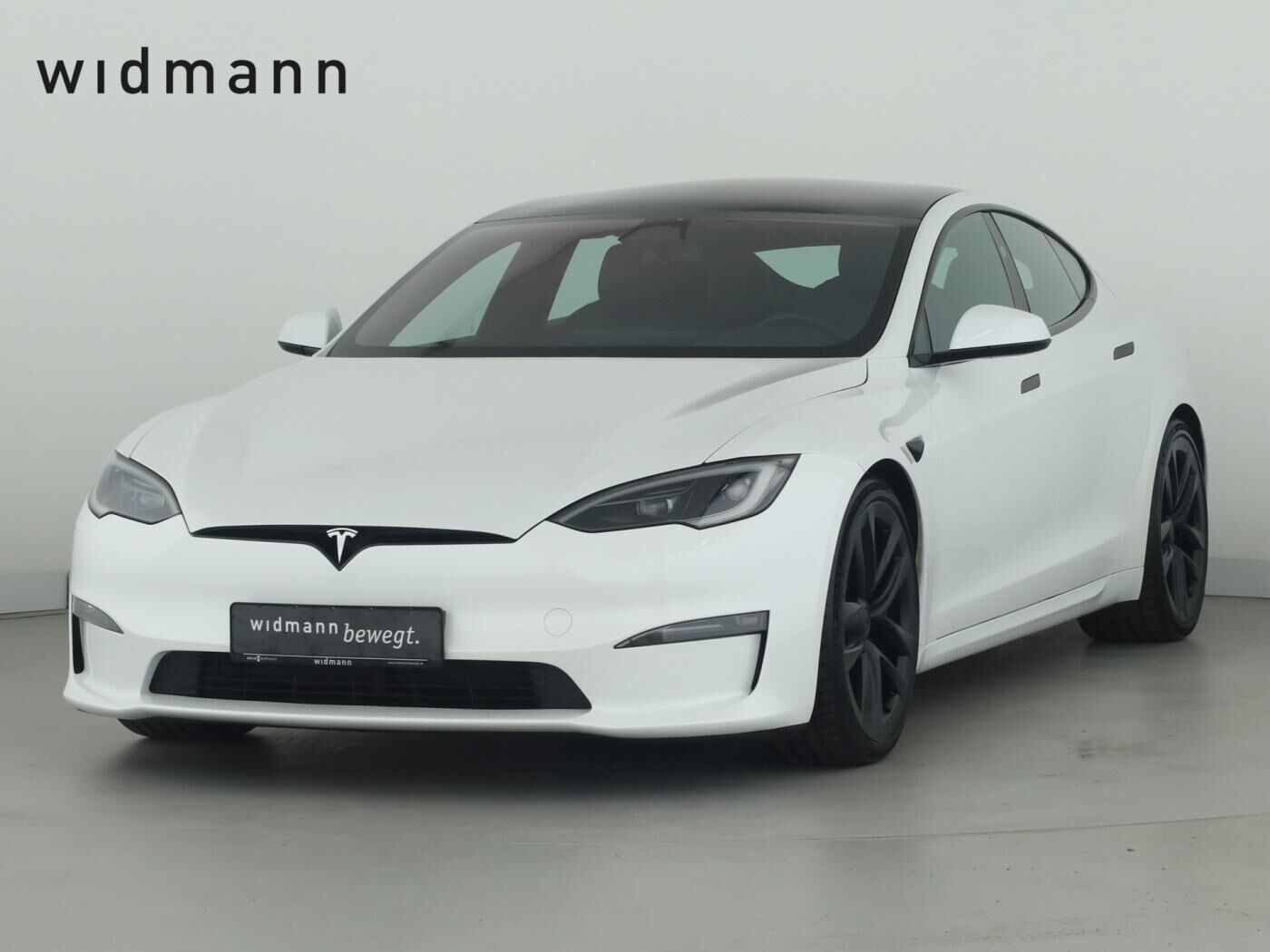 Tesla Model S Dual *LED*Kamera*Keyless*21 Zoll*2xKlima
