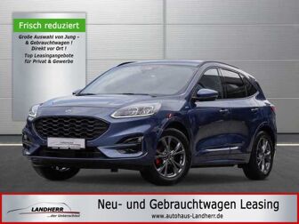 Fahrzeug FORD Kuga undefined
