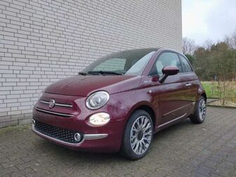 Fahrzeug FIAT 500 undefined