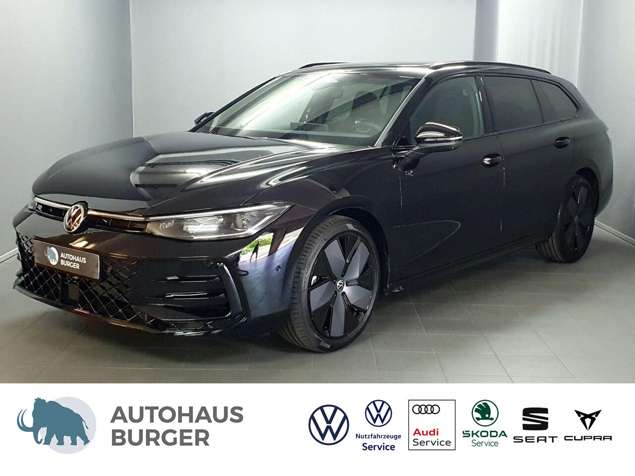 VOLKSWAGEN Passat R-Line 2.0 l TDI SCR 4MOTION 142 kW (193
