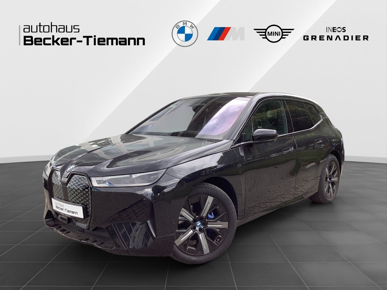 BMW iX xDrive40 / 21 / Laser / H&K / Pano / DAB / Si