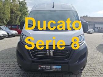 Fahrzeug FIAT Ducato undefined