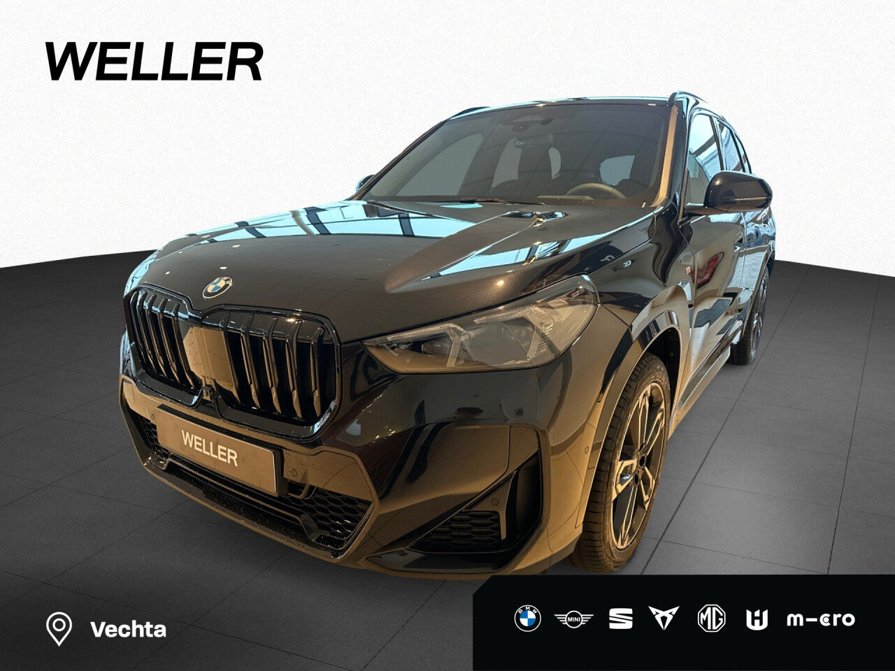 BMW X1 sDrive20i M Sport Pro Innovationspaket AHK HUD
