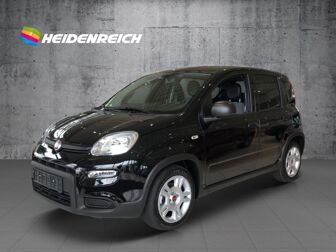 Fahrzeug FIAT Panda undefined