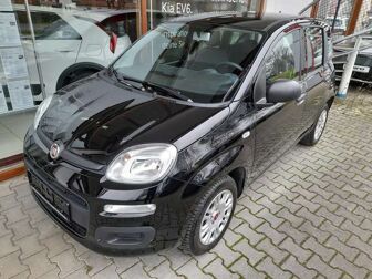 Fahrzeug FIAT Panda undefined