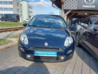 Fahrzeug FIAT Punto undefined