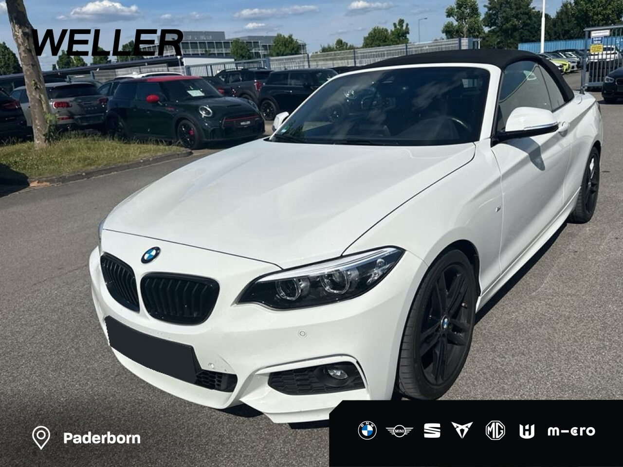 BMW 220i Cabrio M Sport Aut. LED,Navi,Tempo,Shadow PDC