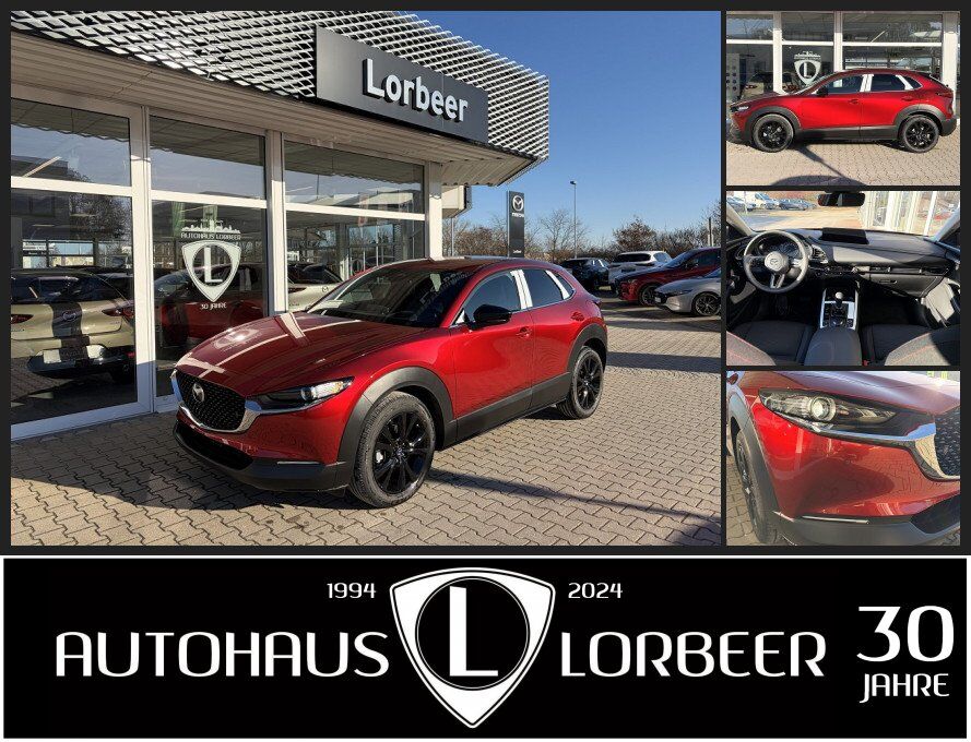 Brugt Mazda Cx-30 2.5