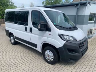 Fahrzeug FIAT Ducato undefined