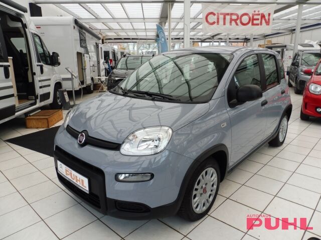 Fiat Panda Base 1.0 Mild Hybrid EU6d DAB Klimaanlage