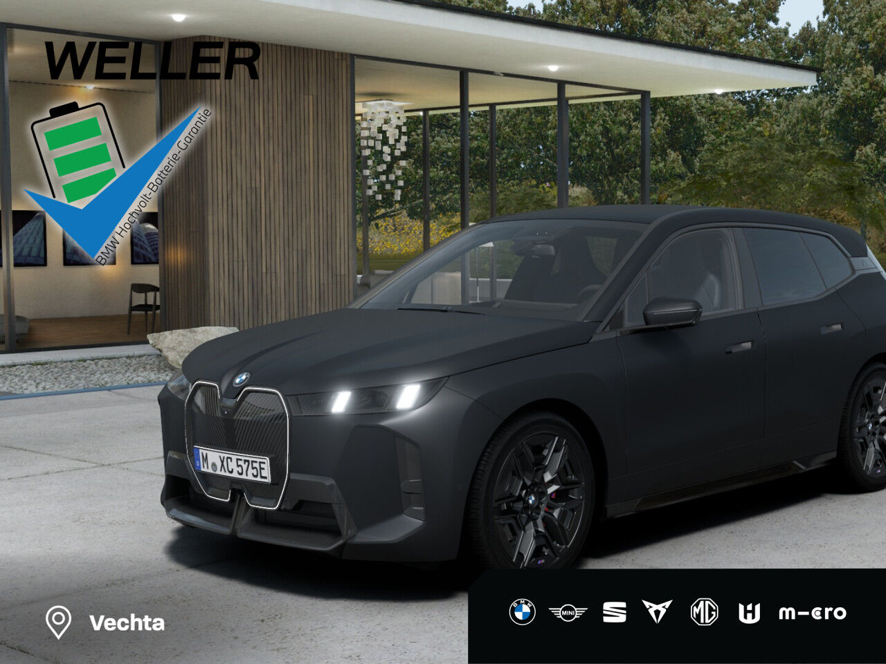 BMW iX xDrive45 M Sport Ad.LED AHK LiCoPro ParkAssi.