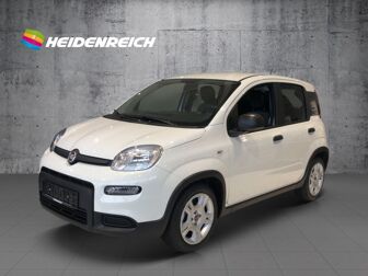 Fahrzeug FIAT Panda undefined