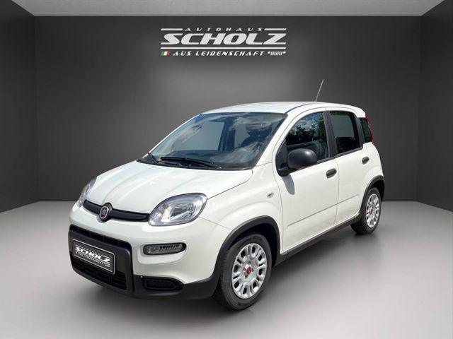 Fiat Panda MY24 Panda Hybrid 1.0 GSE 51kw