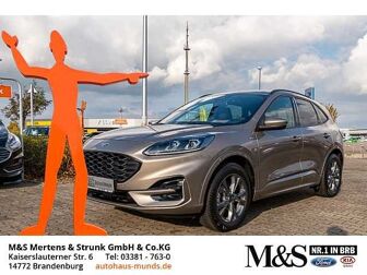 Fahrzeug FORD Kuga undefined