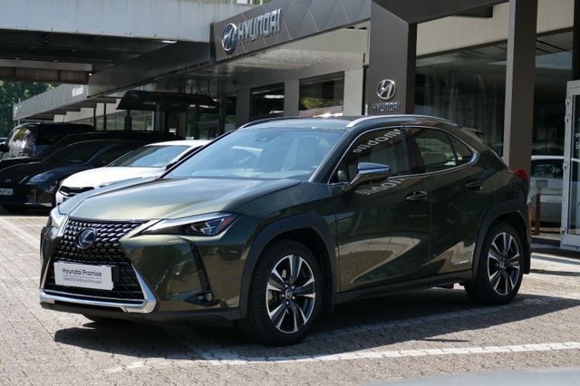 Lexus UX 250h E-FOUR Luxury Line
