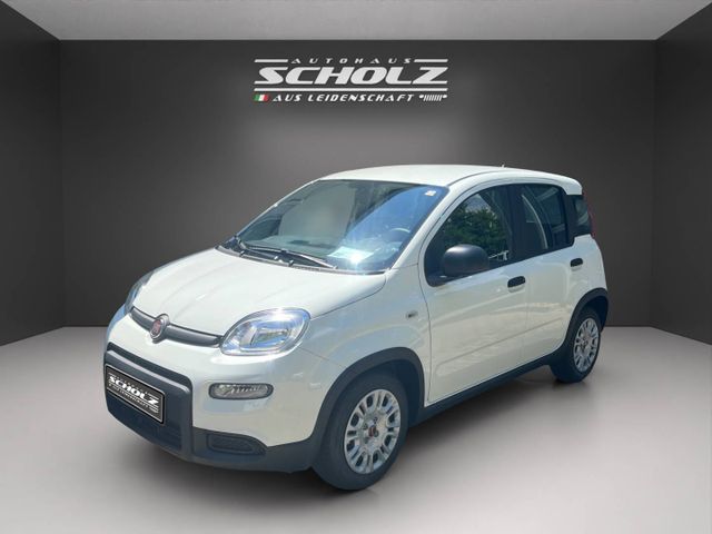 Fiat Panda MY24 Panda Hybrid 1.0 GSE 51kw