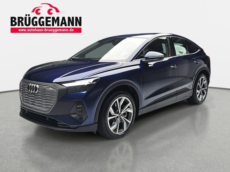 Audi Q4 E-TRON 40 SPORTBACK NAVI LED INTERFACE WINTER SICH