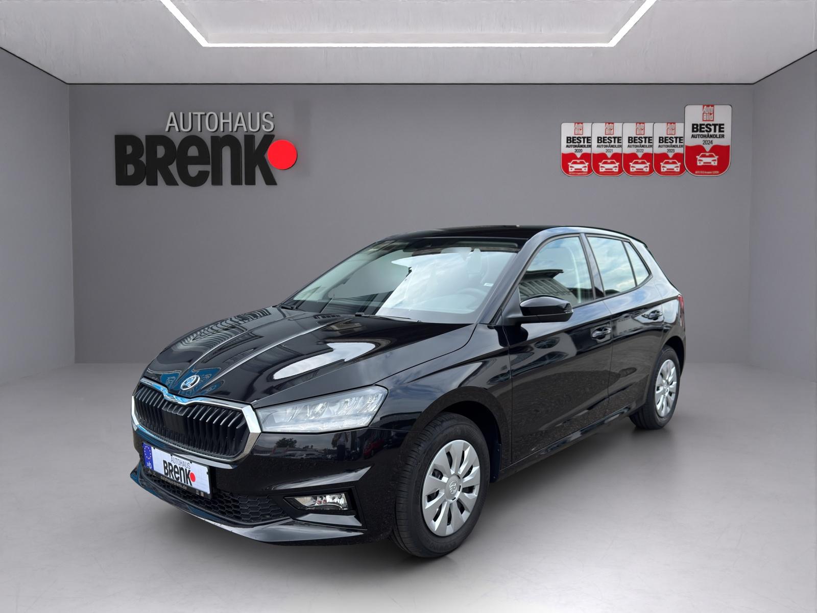 Skoda Fabia 1.0 TSI Selection *SHZ/PDC/APP/Klima*