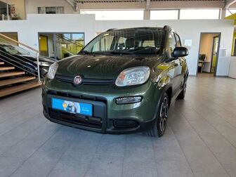 Fahrzeug FIAT Panda undefined