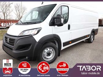 Fahrzeug FIAT Ducato undefined