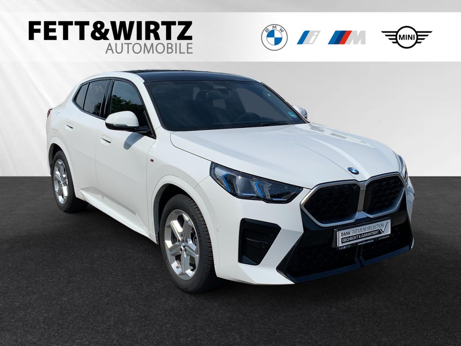 BMW X2 sDrive18d M Sport|AHK|Pano|Harman/Kardon