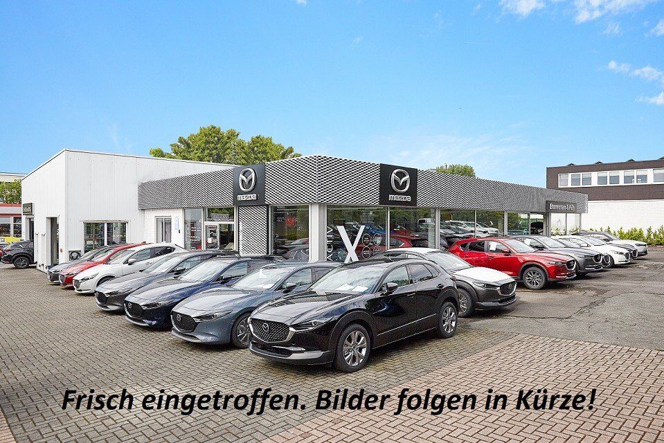 Suzuki Ignis 1.2 Comfort+ *Klimmautomatik*Rückfahrkamera*Navi*