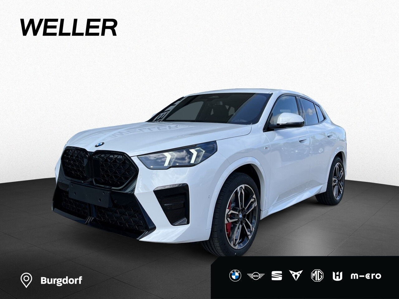 BMW X2 sDrive20i M Sport Pro AHK Premiumpaket DA Navi