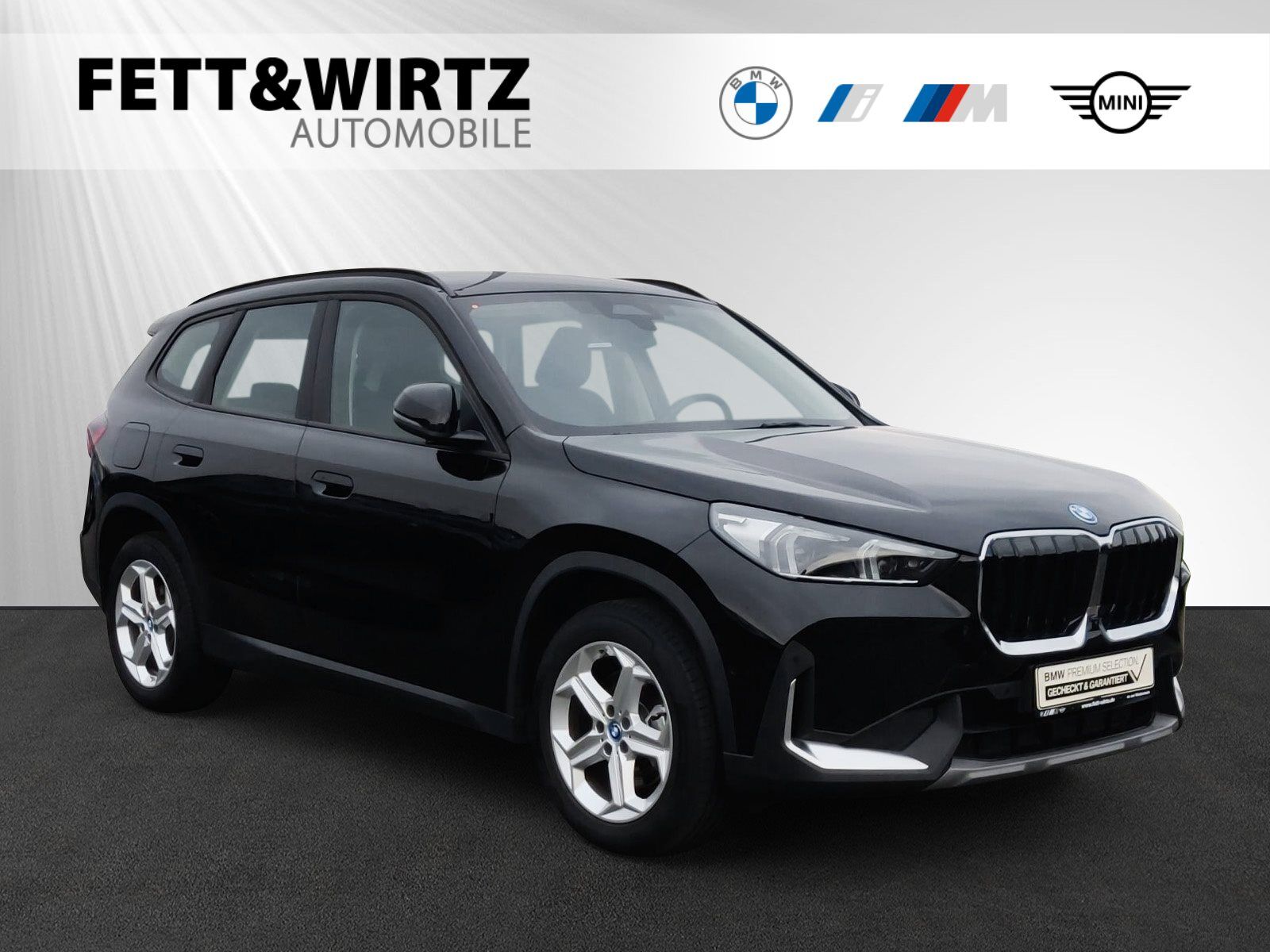 BMW X1 xDrive25e Head-Up-Display|ParkingAssistant+|LCProf.