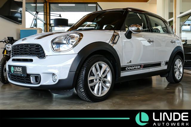 Mini Countryman CooperSD All4|LEDER|NAVI|PANO.|17 ALU