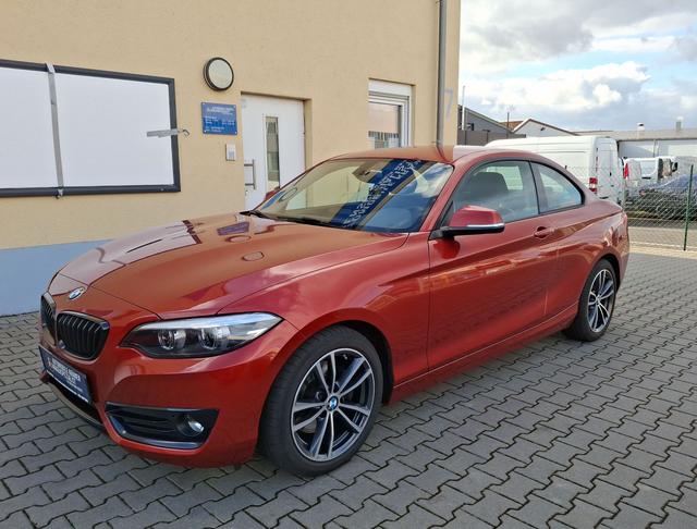 BMW 220 i Sport Line Business NAVI 8 fach Bereift...