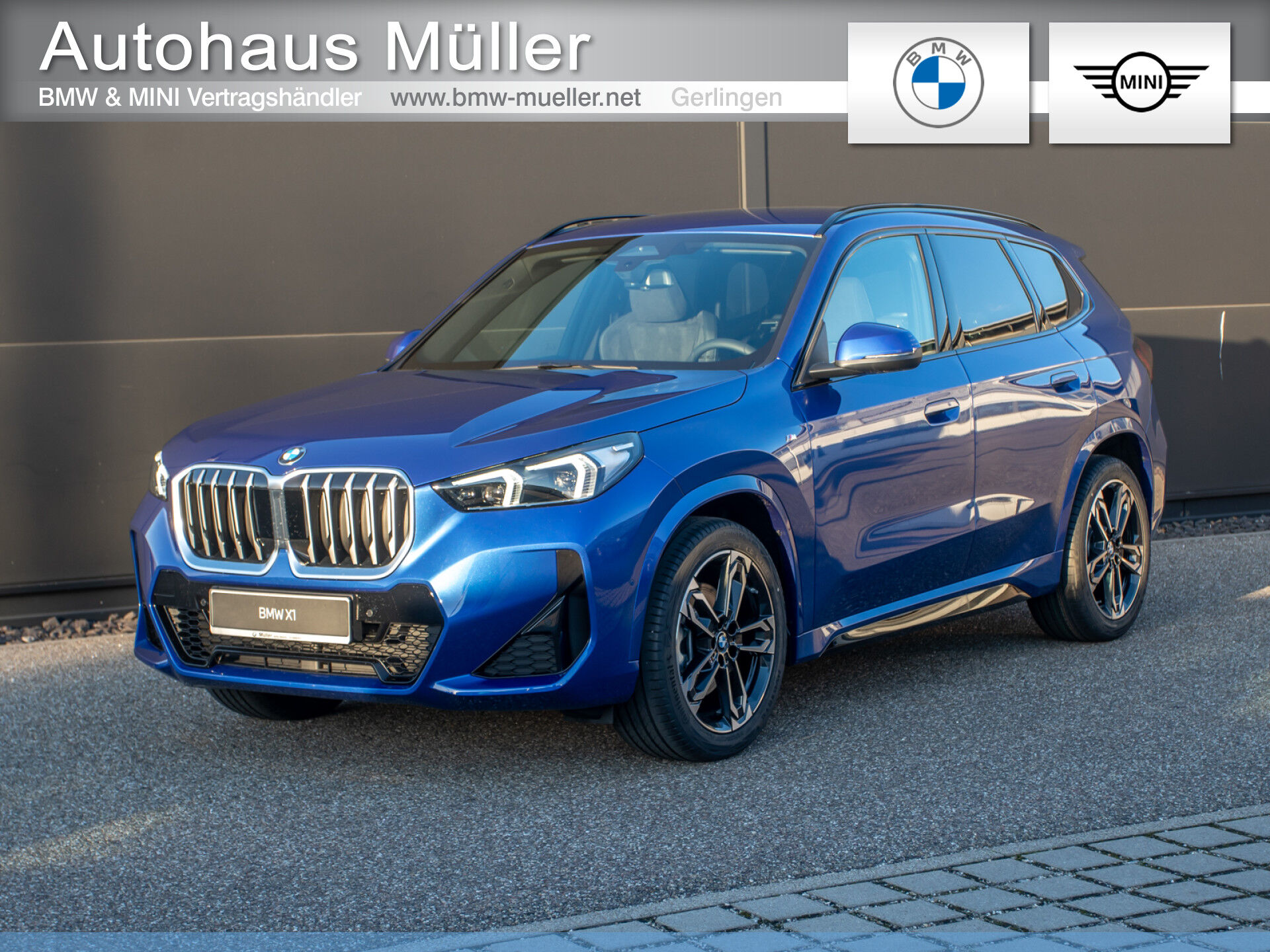 BMW X1 sDrive20i M Sport H/K AHK Totwinkel Premium L