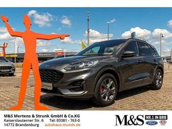 Fahrzeug FORD Kuga undefined