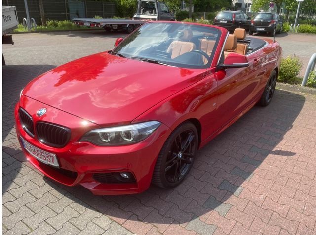 BMW 220i Cabrio M Sport aut. Navi Prof. Kamera PDC