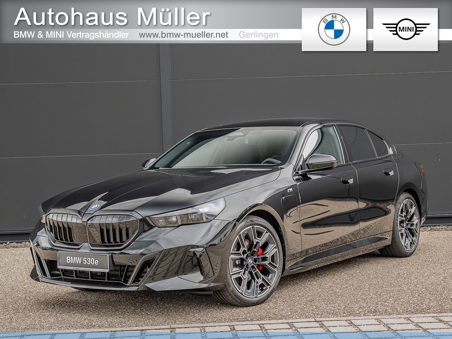 BMW 530e M Sport Pro AHK 360 HUD H&K Glow Inno 20" L